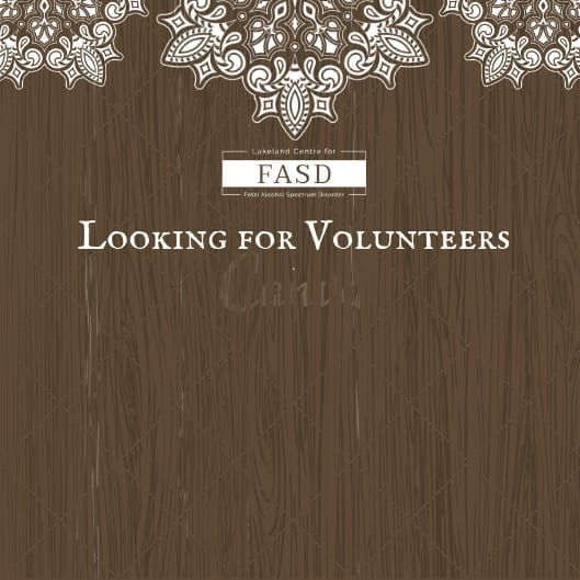 Copy-of-Looking-for-Volunteers